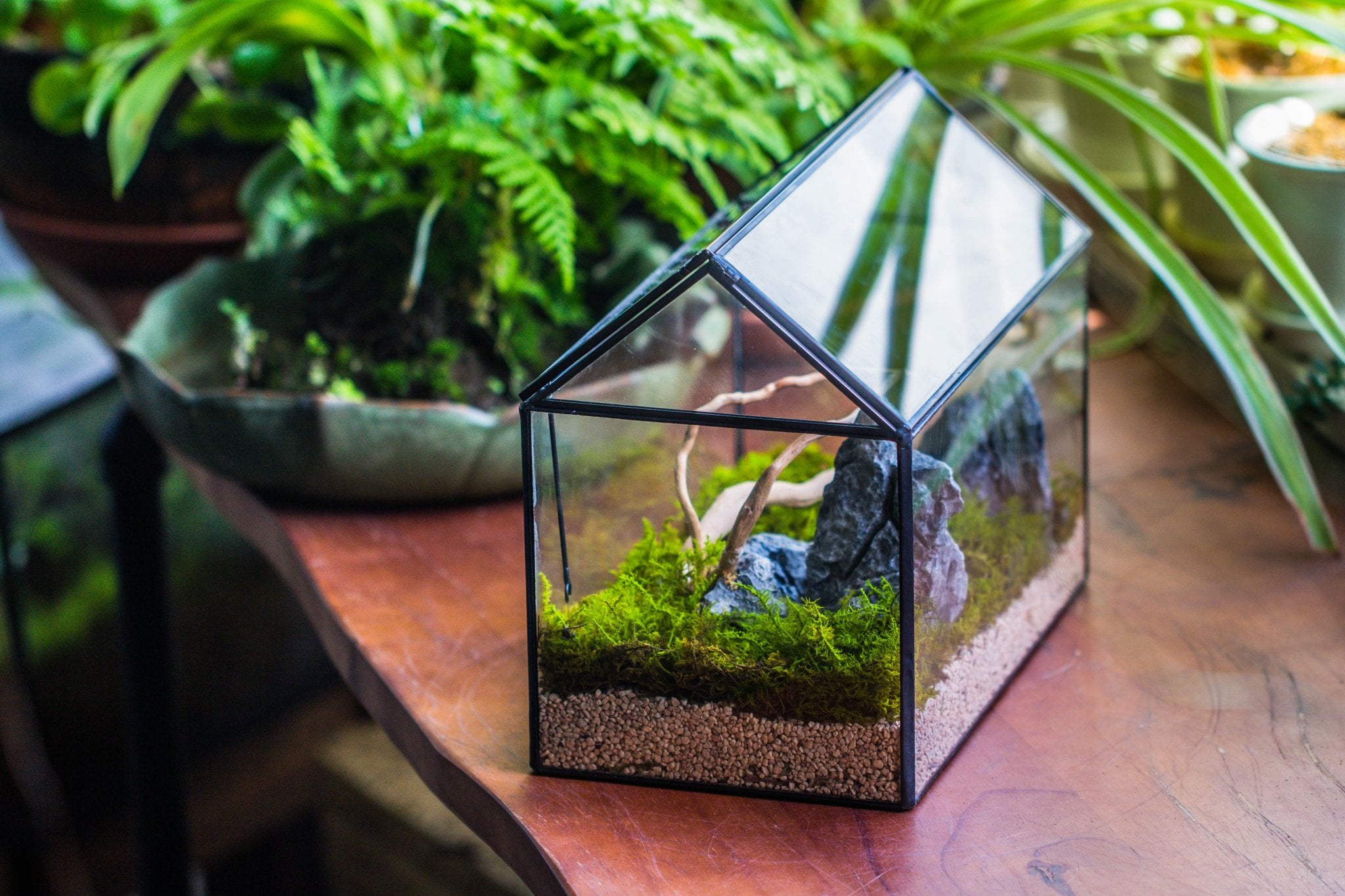 Handmade Close House shaped Glass Terrarium Enclosure With Acrylic Me handmade-close-house-shaped-glass-terrarium-enclosure-with-acrylic-me